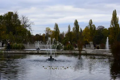 DSC_0571 (Large).JPG